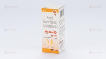Maxtra P Syrup | Respiratory | Phenylephrine Hydrochloride
